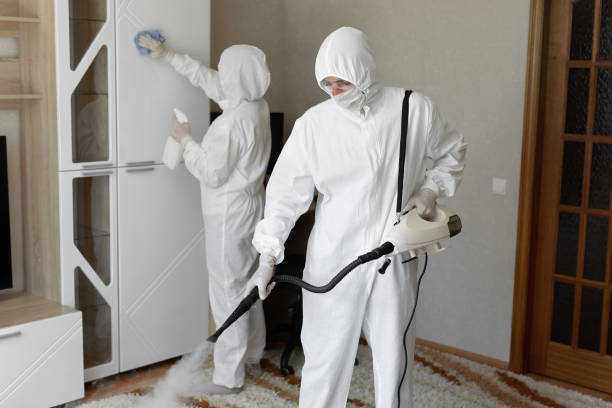 Best Mold Inspection  in Westport, WA