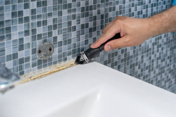 Best Residential Mold Removal  in Westport, WA