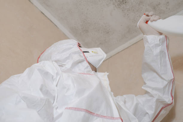 Best Mold Removal and Inspection  in Westport, WA