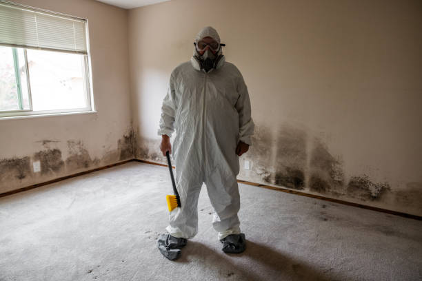 Best Attic Mold Removal  in Westport, WA